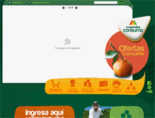 Tablet Screenshot of consumo.com.co